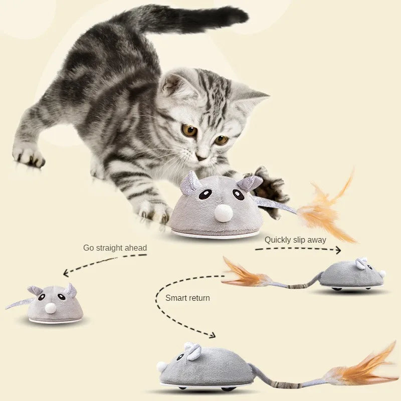 USB Interactive Cat Toy: Rotating Butterfly Training Toy
