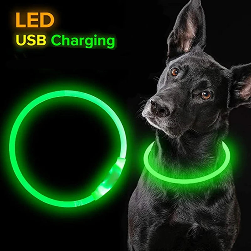 USB LED Dog Collar: Glowing Safety Collar for Pets