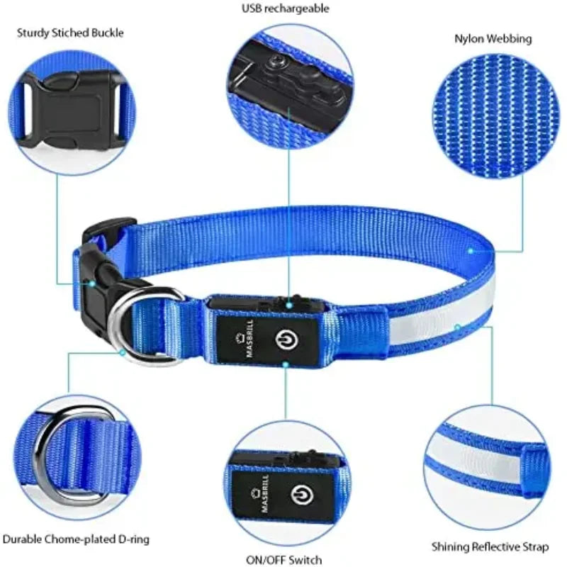 LED Dog Collar - USB Rechargeable Safety Light