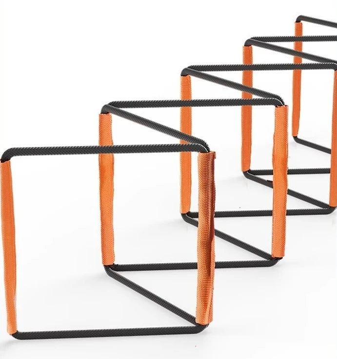 Dual-Purpose Agility Ladder