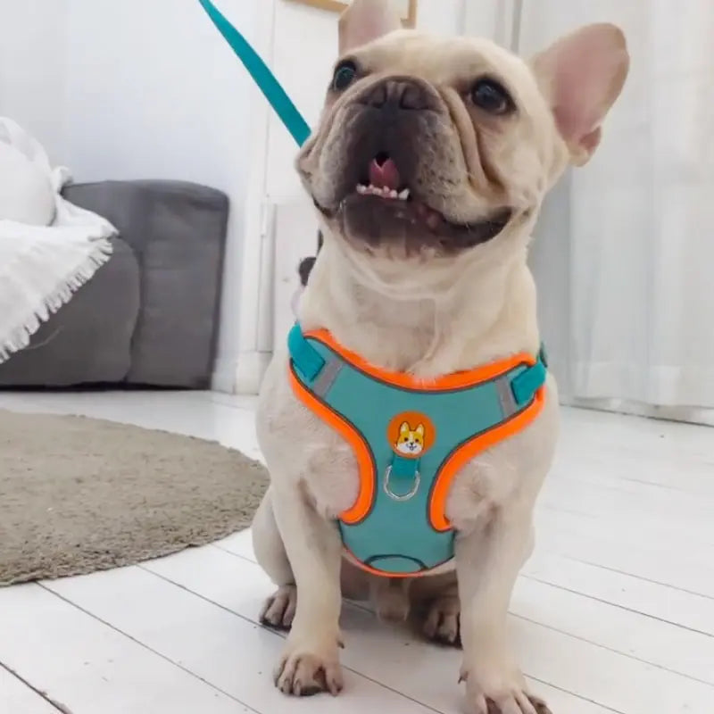 Adjustable No-Pull Reflective Pet Harness