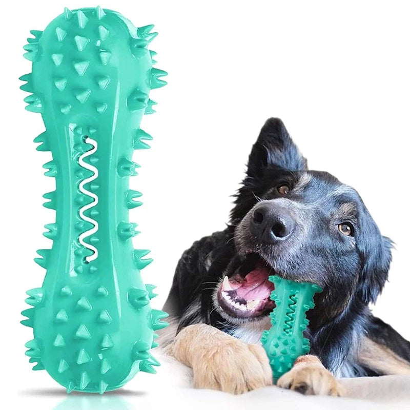 Rubber Dog Chew Toy