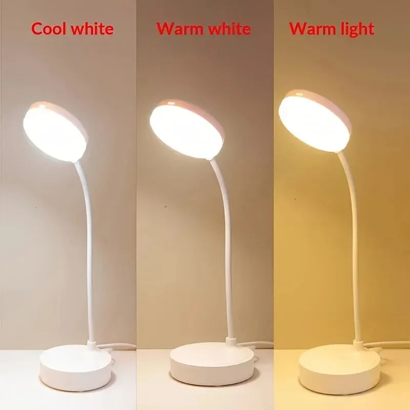 LED Desk Lamp with USB Port
