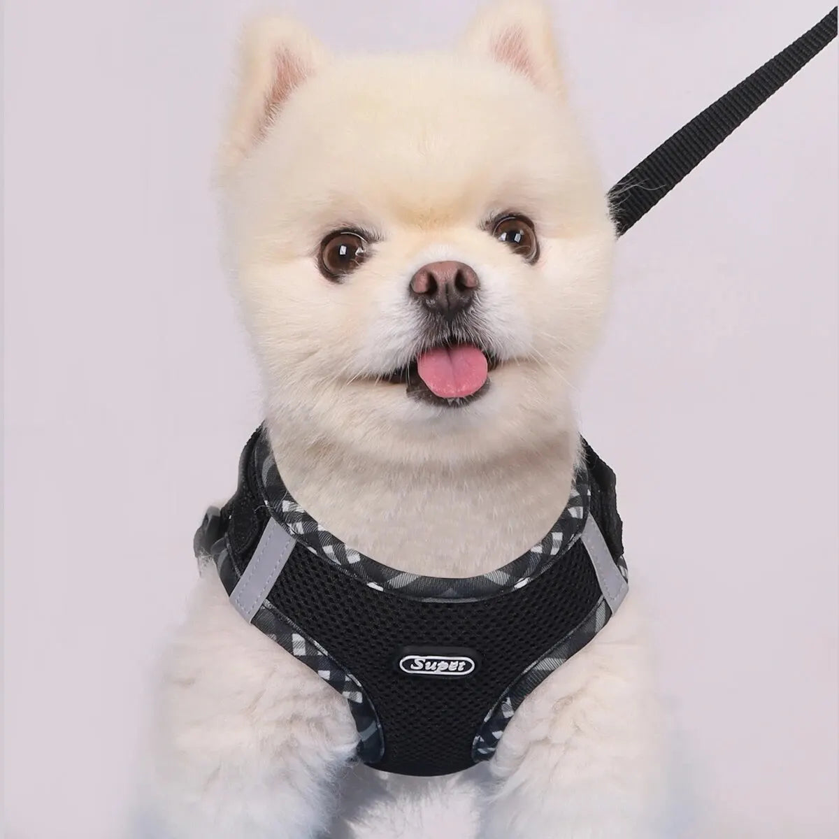 Adjustable Anti-Pull Dog Harness