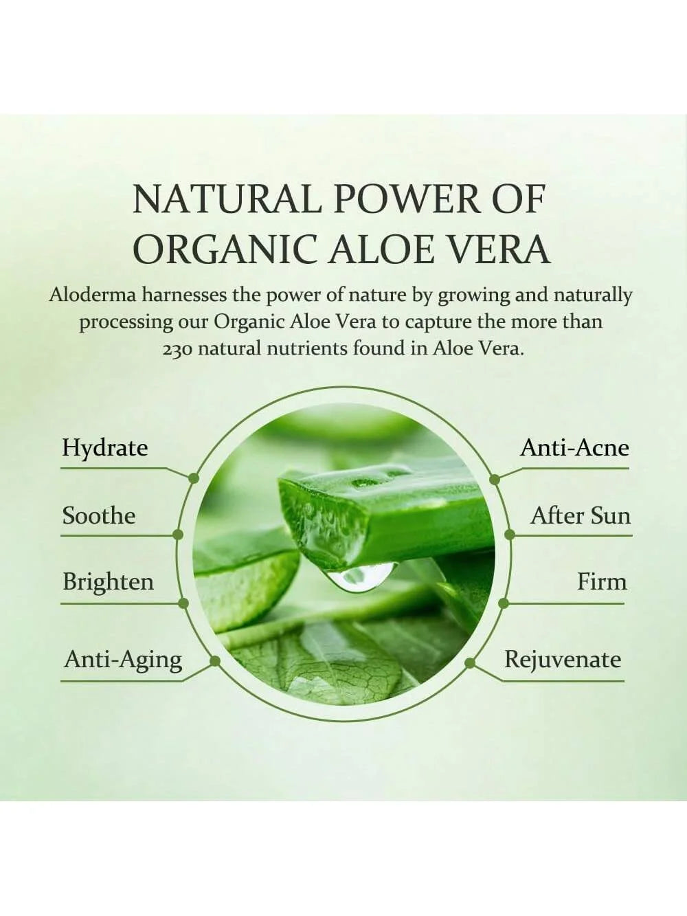 Aloe Vera Gel