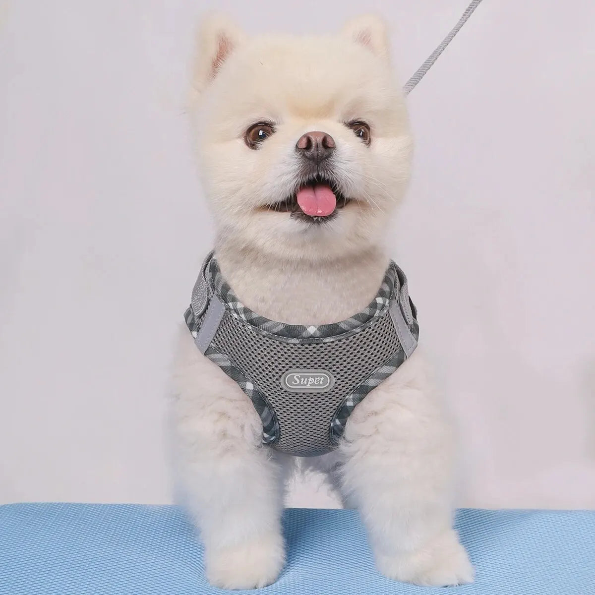 Adjustable Anti-Pull Dog Harness