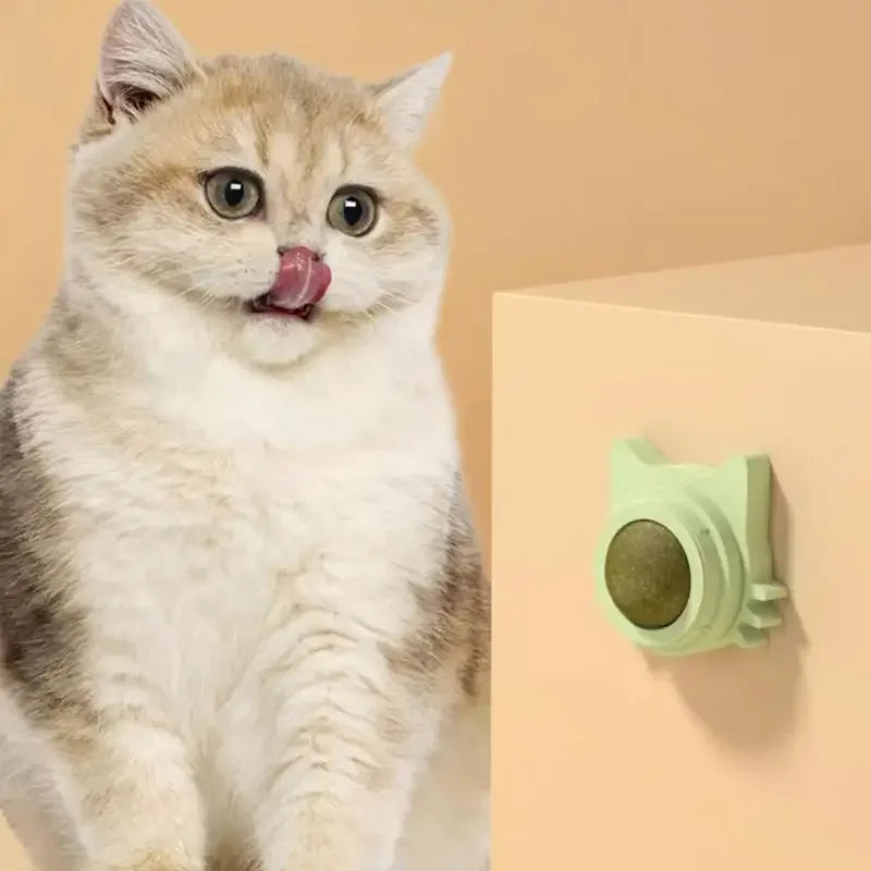 Lickable Catnip Balls: Fun Snacks for Dental Health