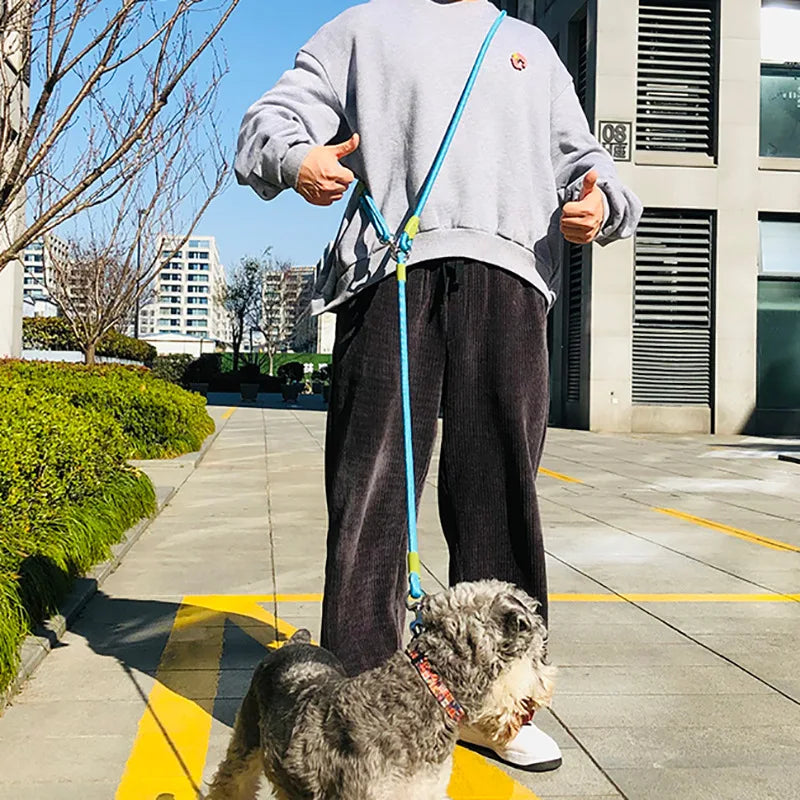 Reflective Hands-Free Nylon Dog Leash