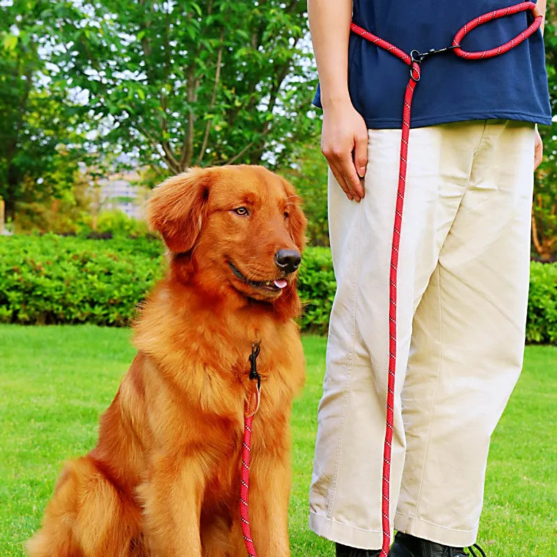 Hands-Free Reflective Dog Leash