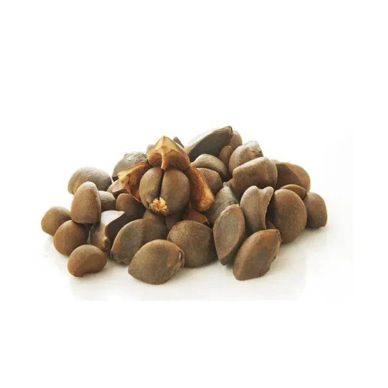 Premium Camellia Seed Massage Oil
