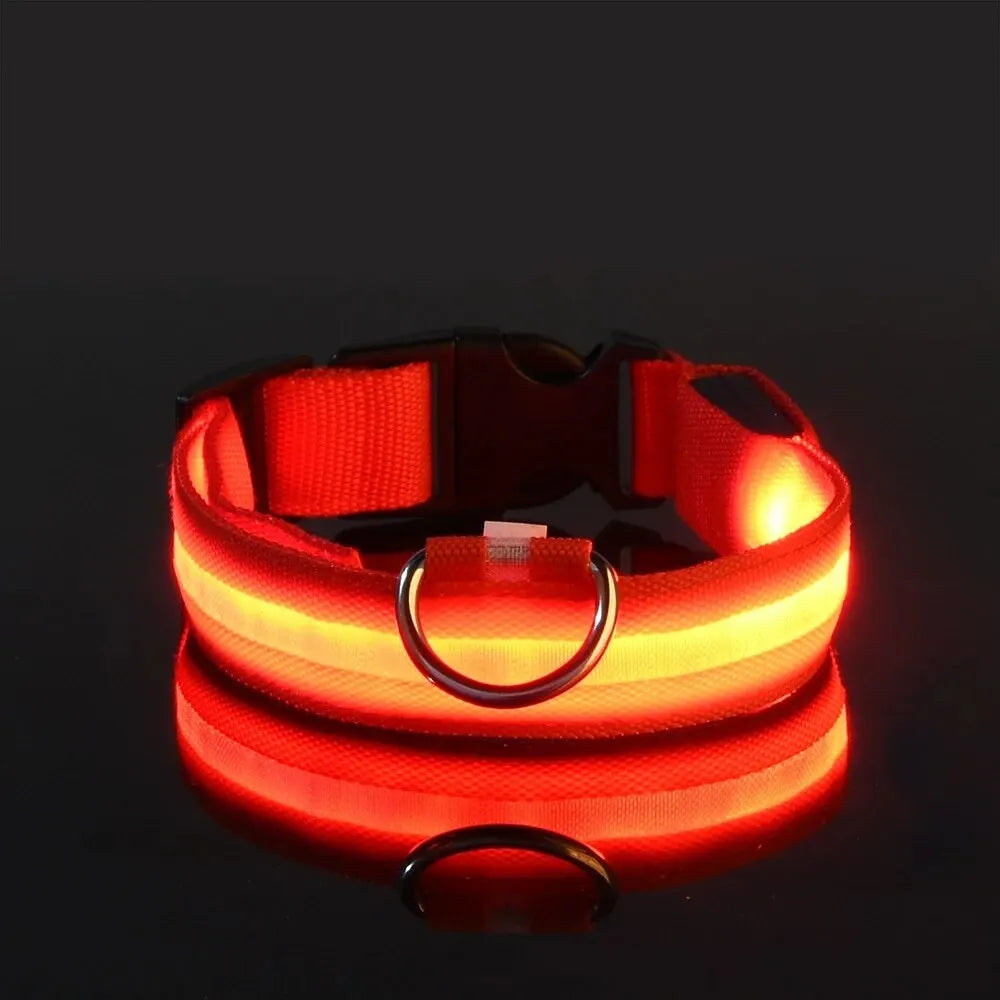 LED Glow Dog Leash and Collar