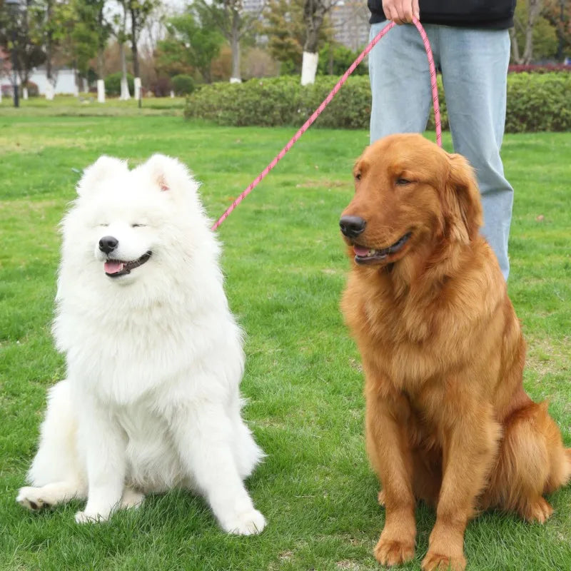 Hands-Free Reflective Dog Leash