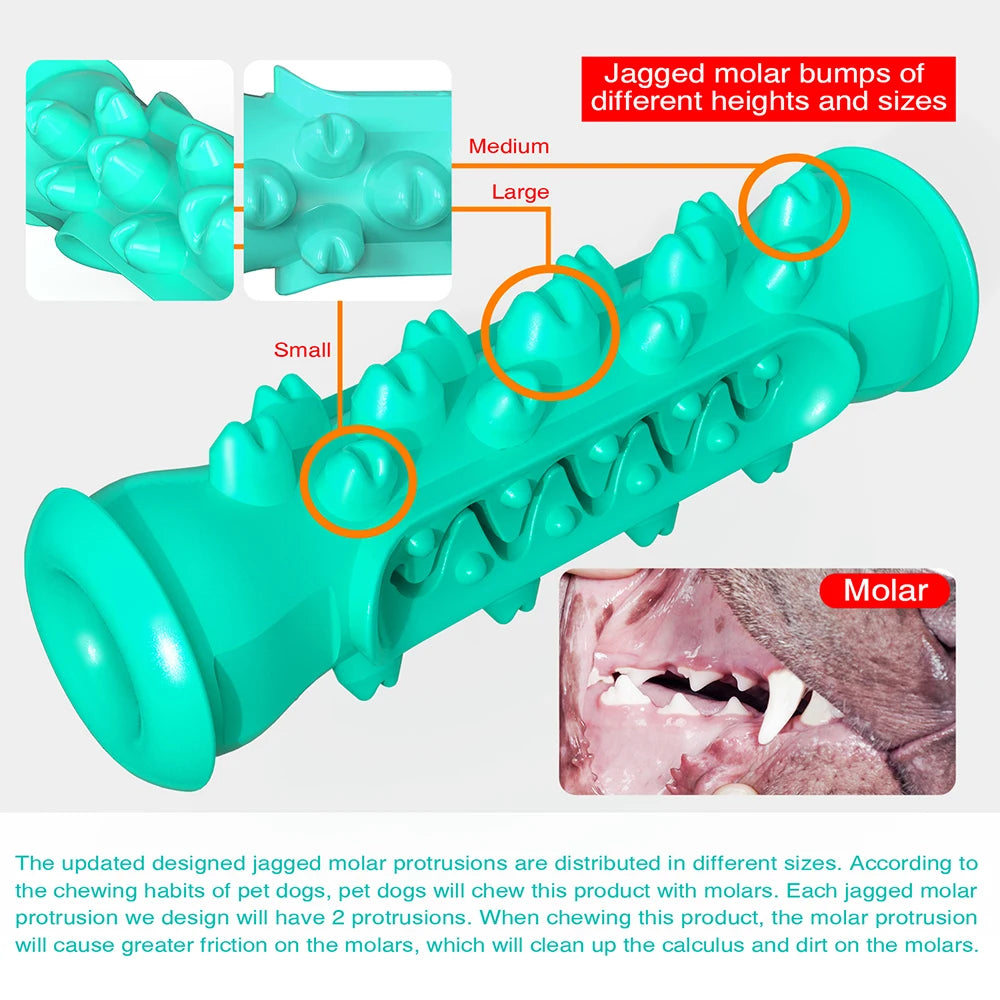 Durable Dog Toothbrush Chew Toy for Interactive Dental Care