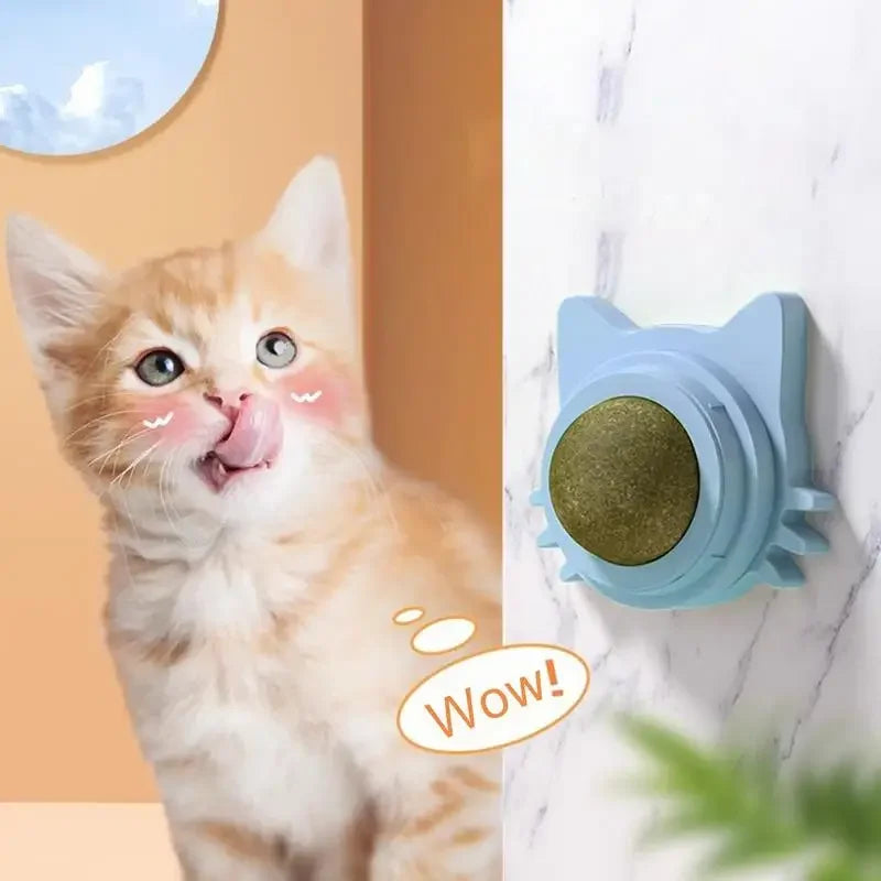 Lickable Catnip Balls: Fun Snacks for Dental Health