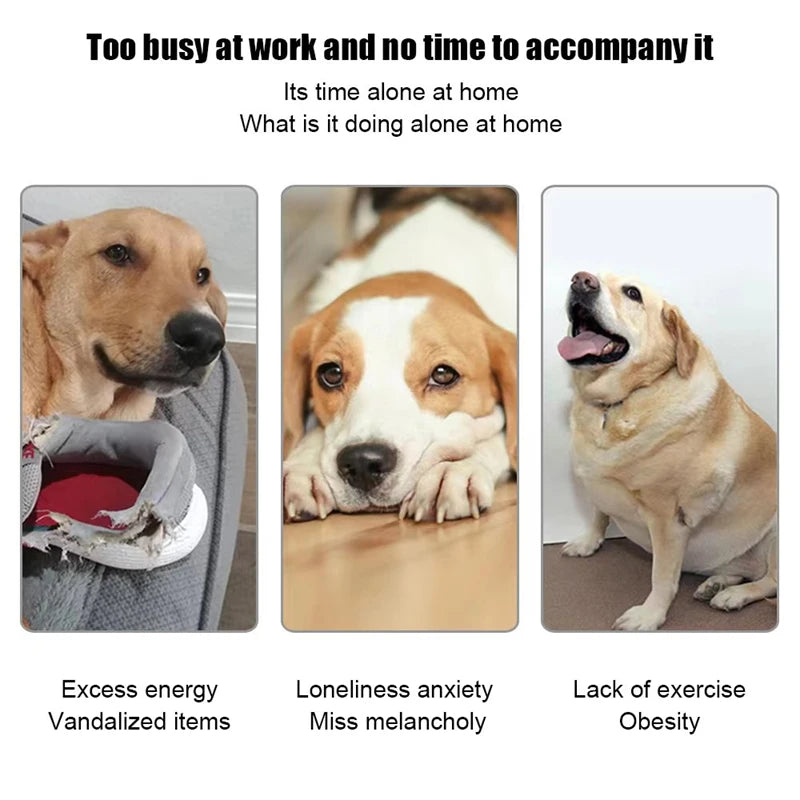 Automatic Dog Tennis Launcher Toy for Interactive Playtime