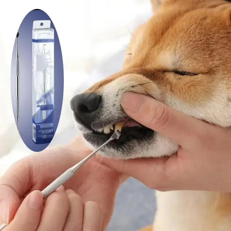 Stainless Steel Pet Dental Scraper