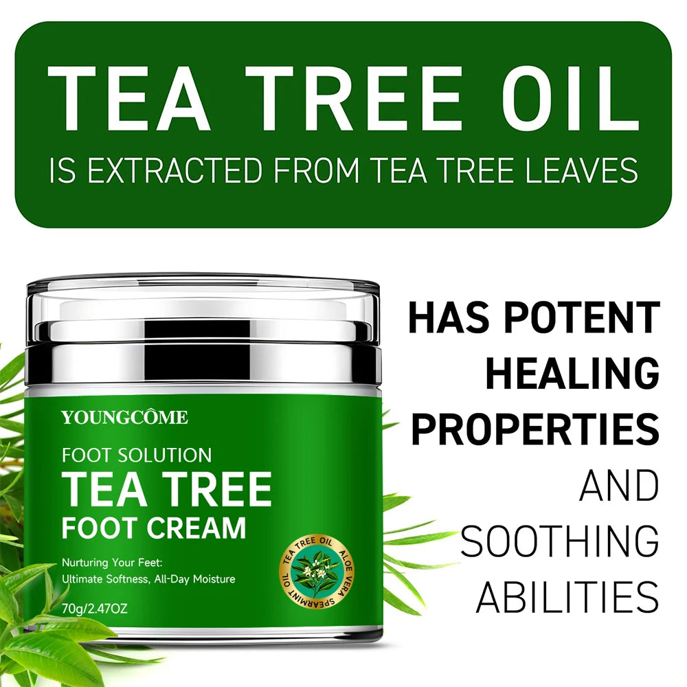 Tea Tree Aloe Foot Cream Deep Moisturizing Repair