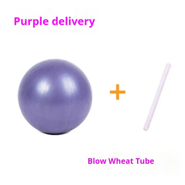 25cm Mini Pilates Yoga Ball