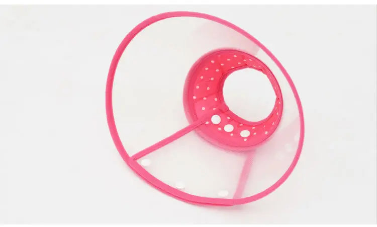 48812294734126|48812294832430|48812294865198|48812294897966