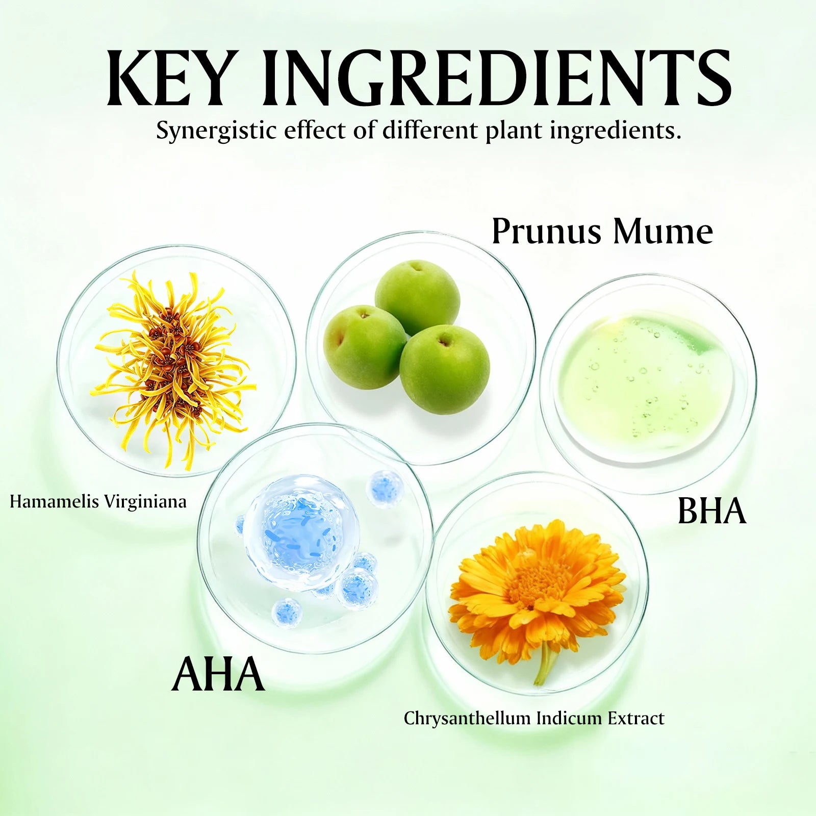 Green Plum AHA BHA Toner