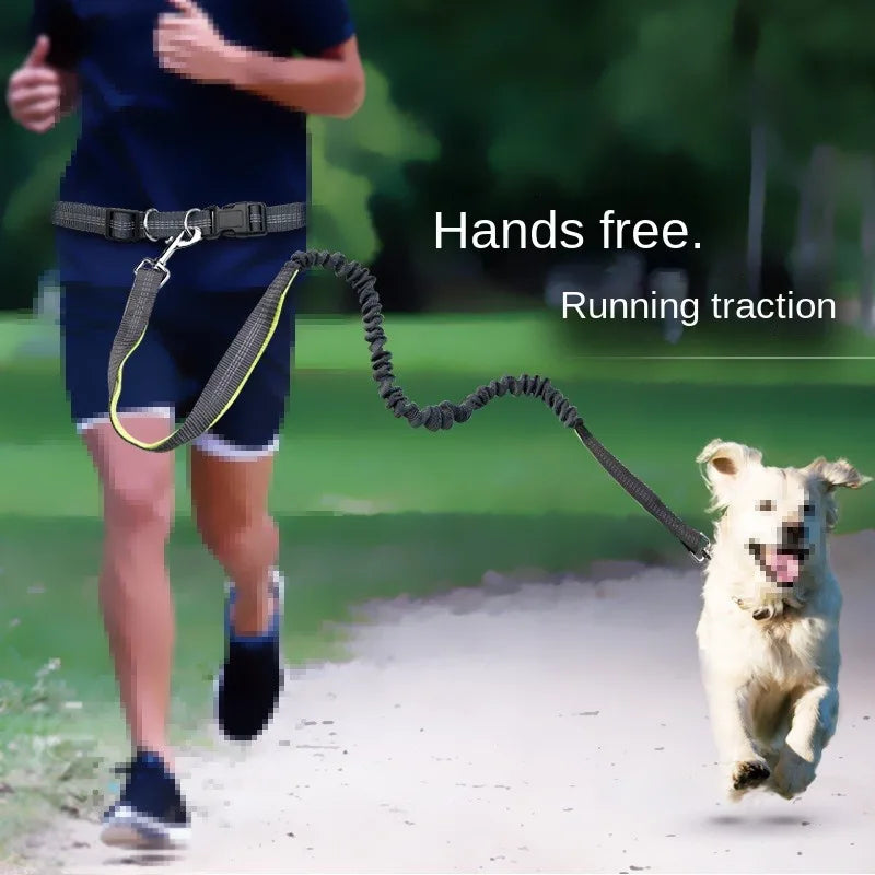 Hands-Free Adjustable Leash