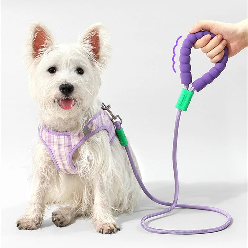 Soft Handle Escape-Proof Dog Leash