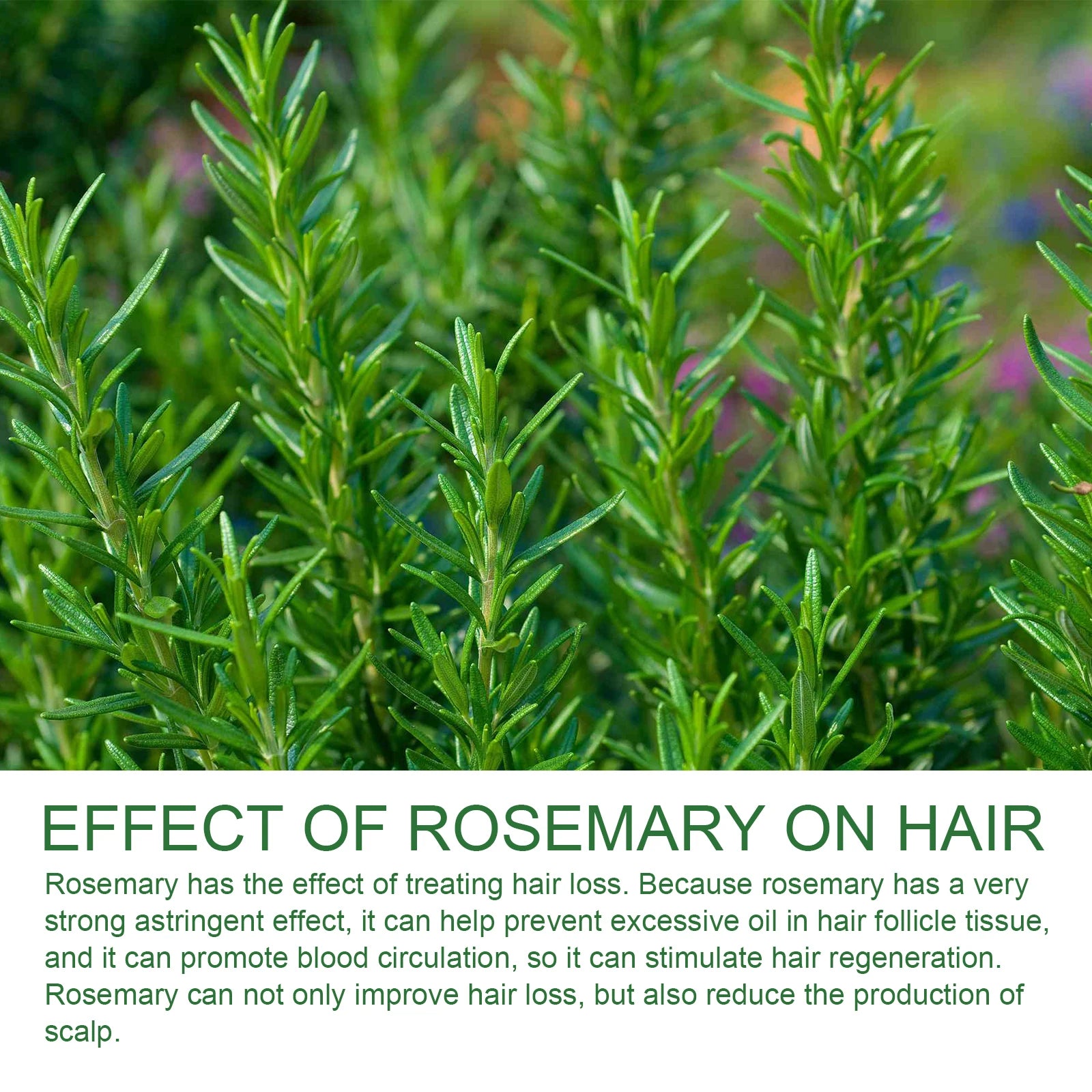 Rosemary Anti Hair Loss Shampoo