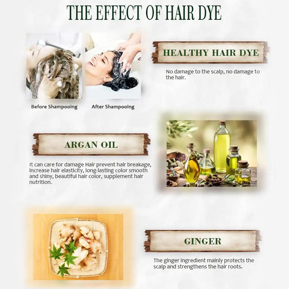 3-in-1 Black Hair Dye Shampoo