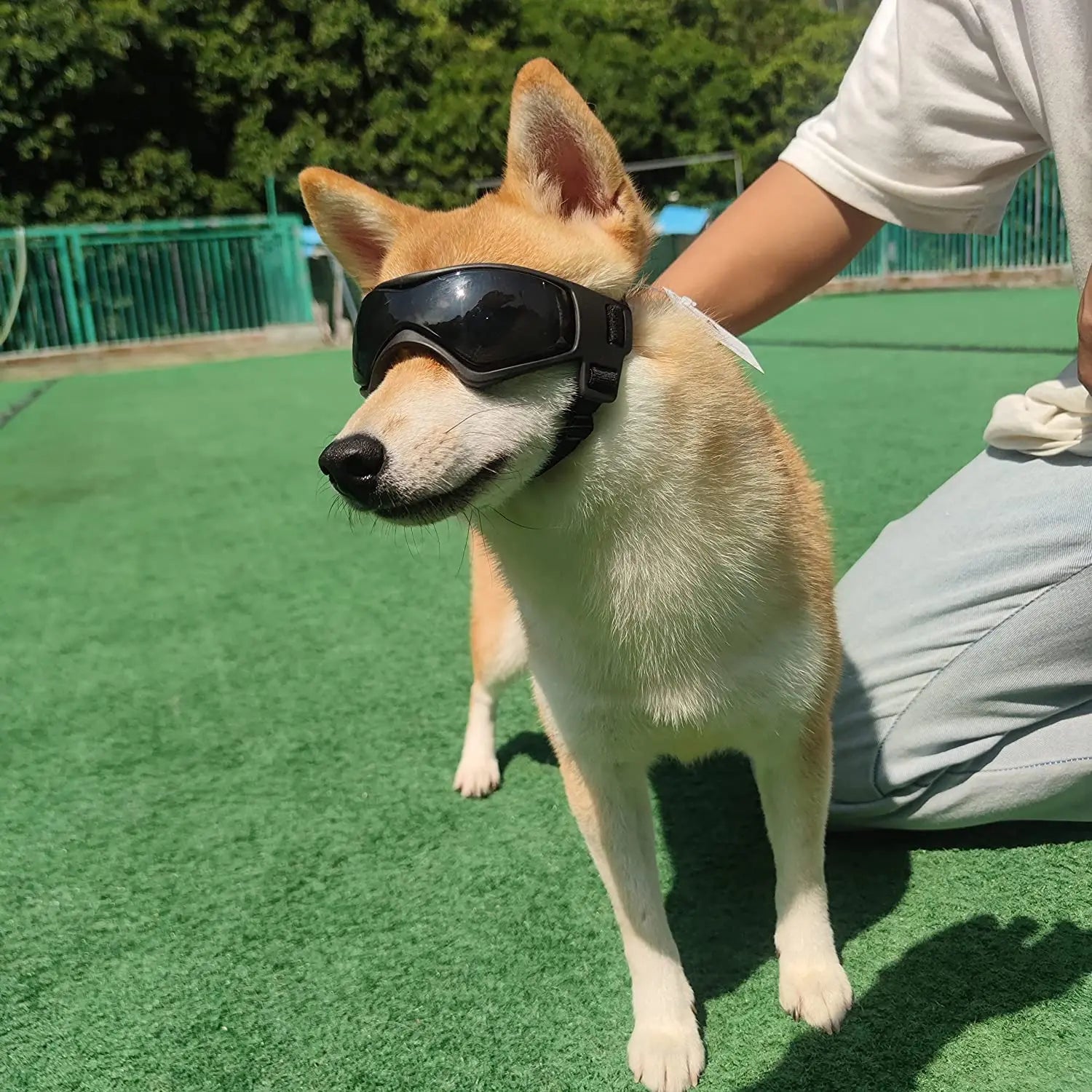 Adjustable UV Protection Pet Sunglasses