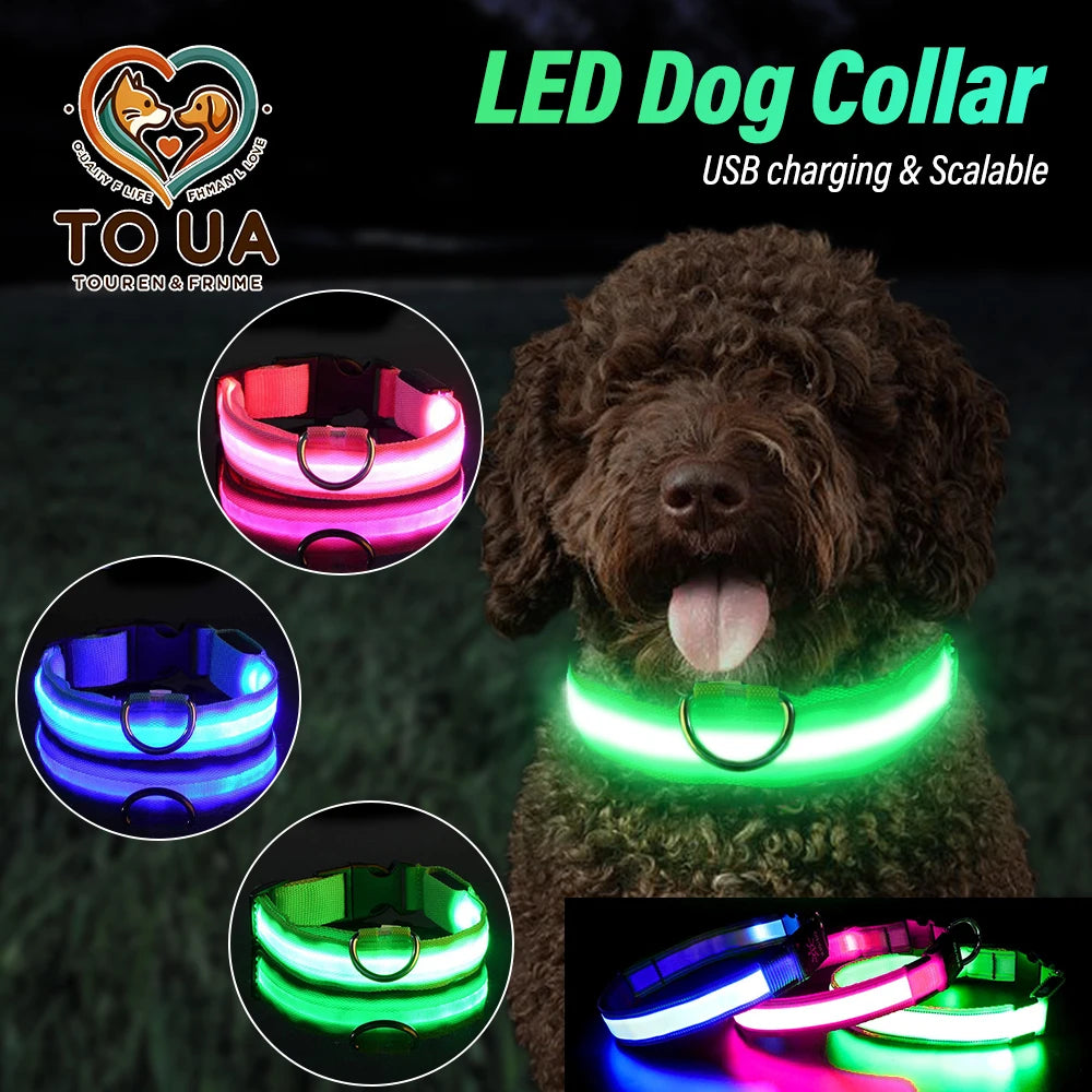 LED Dog Collar - USB Rechargeable Safety Light
