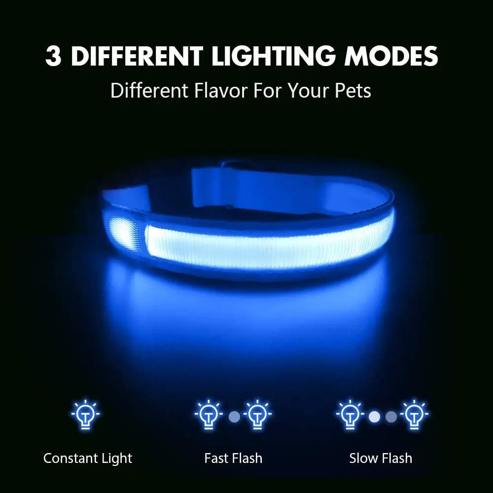 LED Dog Collar - USB Rechargeable Safety Light