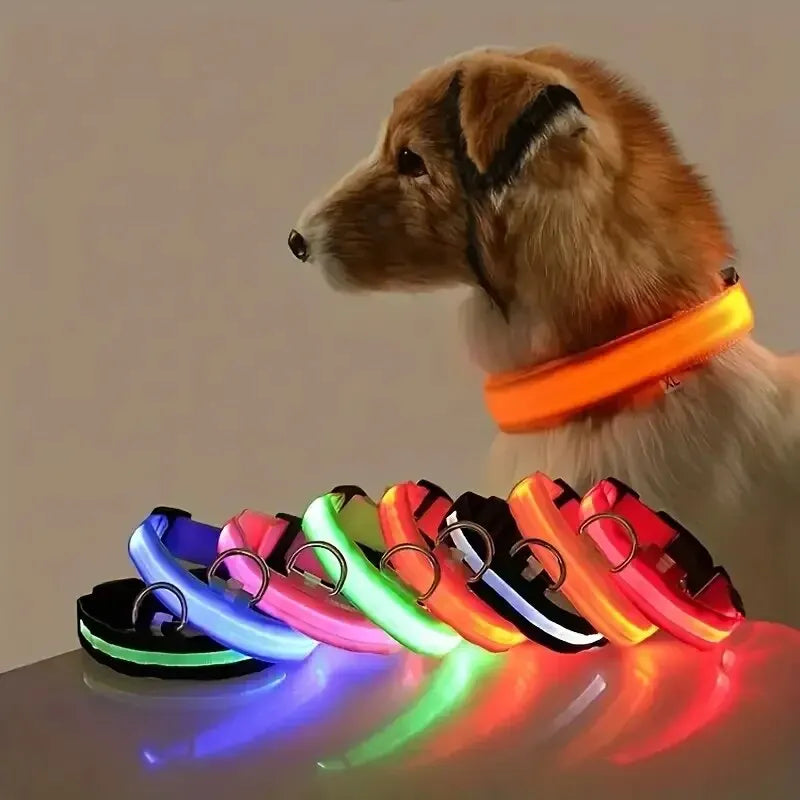 LED Glow Dog Leash and Collar