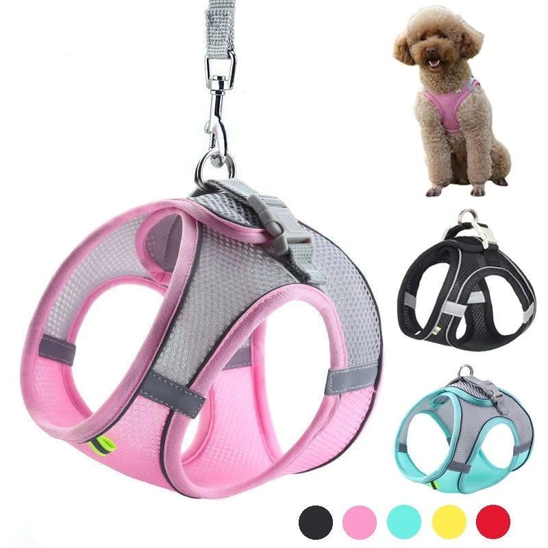 Adjustable Dog Harness Leash Set for Small Dogs