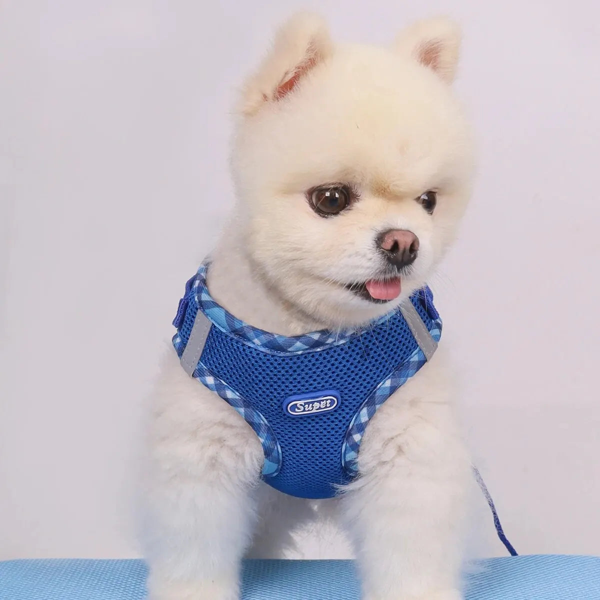 Adjustable Anti-Pull Dog Harness