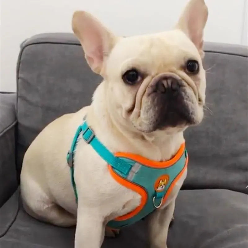 Adjustable No-Pull Reflective Pet Harness
