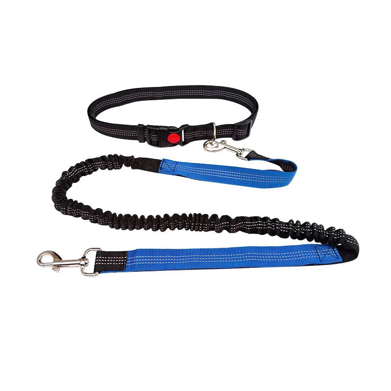 Hands-Free Adjustable Leash