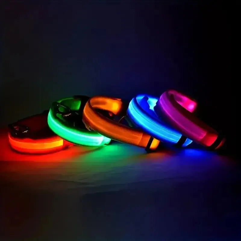 LED Glow Dog Leash and Collar