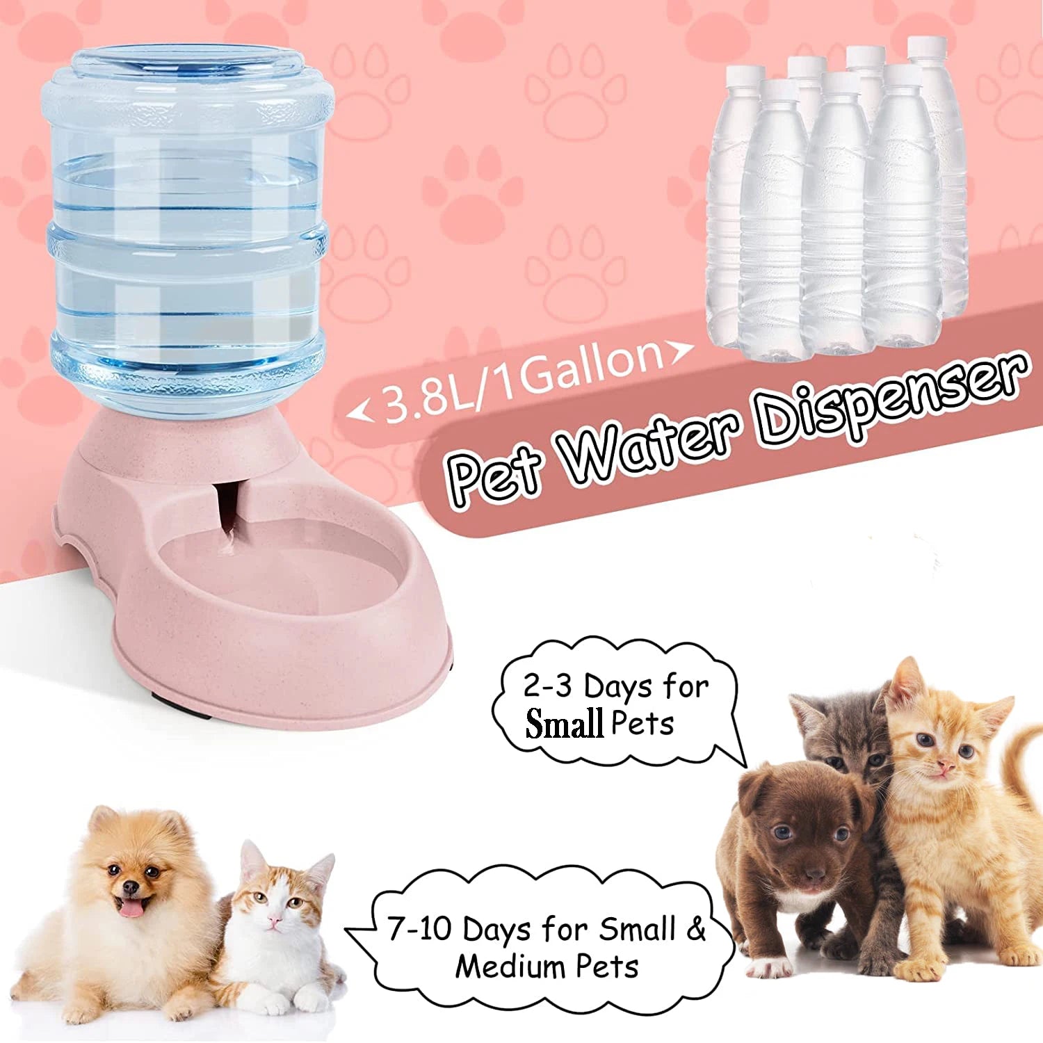 Large Capacity Automatic Pet Feeder with Water Dispenser Bowl
