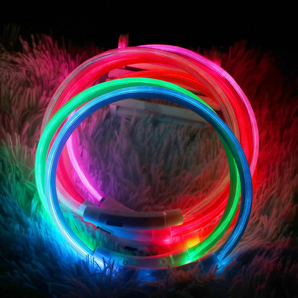 USB LED Dog Collar: Glowing Safety Collar for Pets