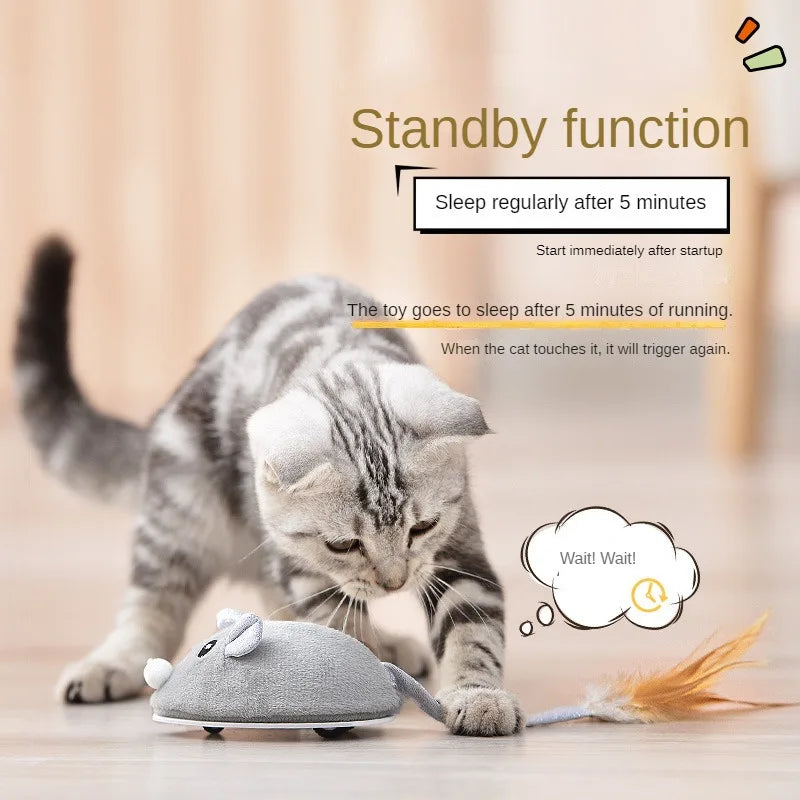 USB Interactive Cat Toy: Rotating Butterfly Training Toy