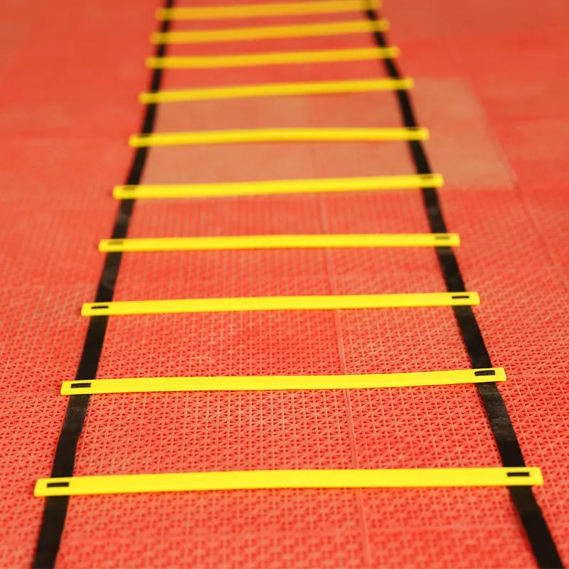 Agility Training Ladder