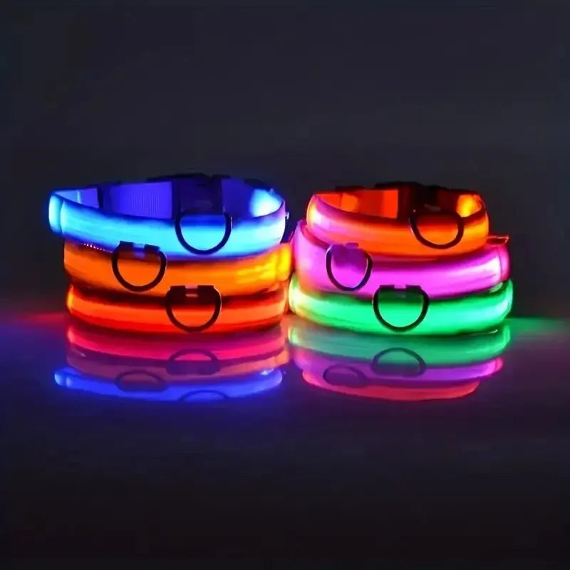 LED Glow Dog Leash and Collar