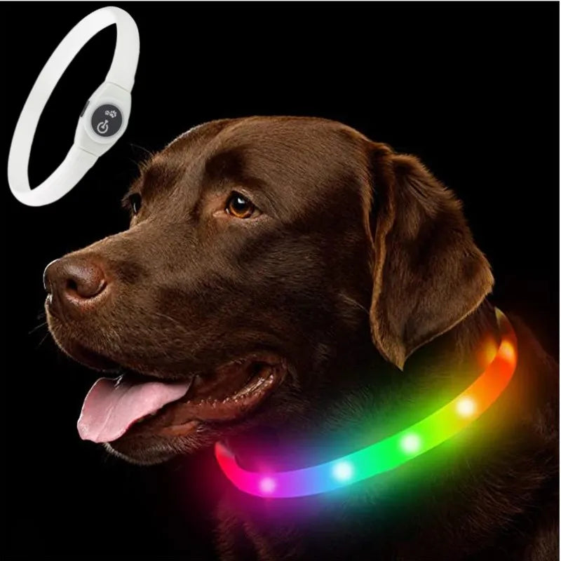LED Luminous Waterproof Dog Collar