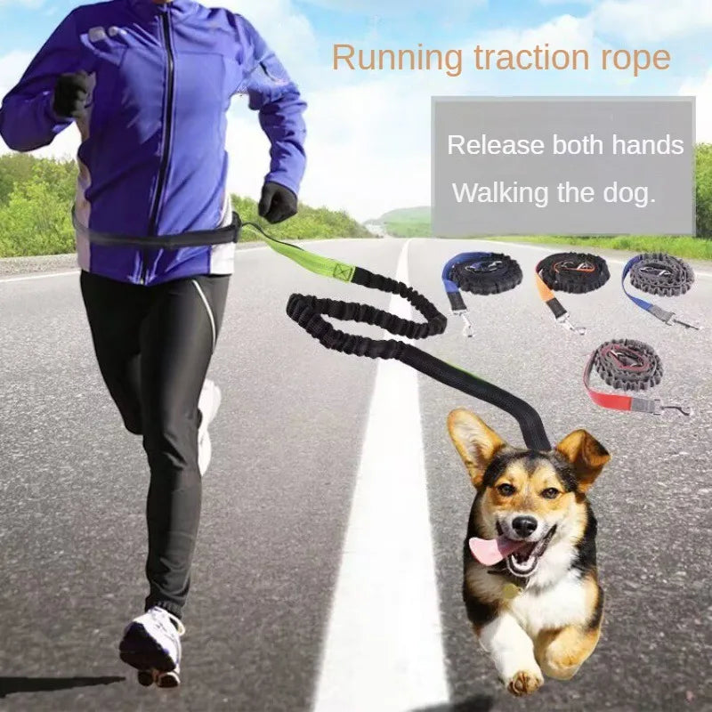 Hands-Free Adjustable Leash